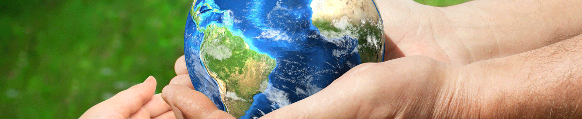 DU SAFRAN SUR LES TOITS DE PARIS